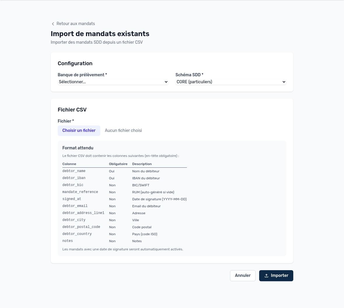 Mandatsimport: Einstellungen und erwartetes Format